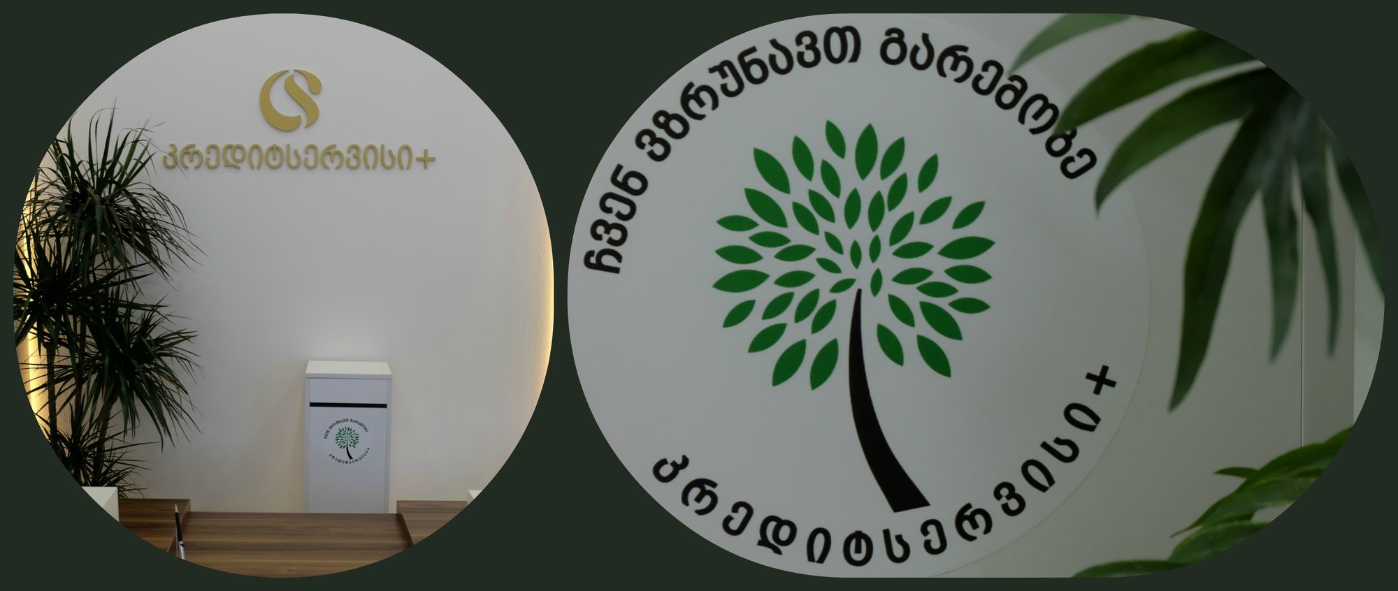 მწვანე ყუთი